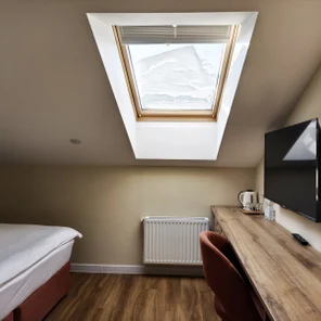 Стандарт Мансарда